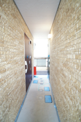 リブリ・Harlのその他