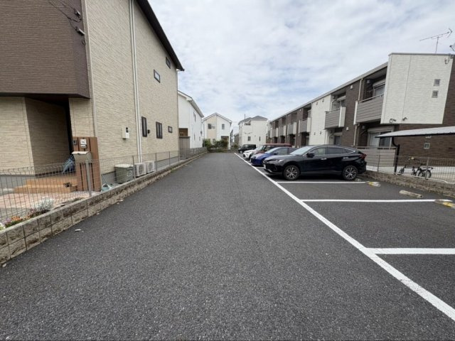 ミランダミルティユのその他