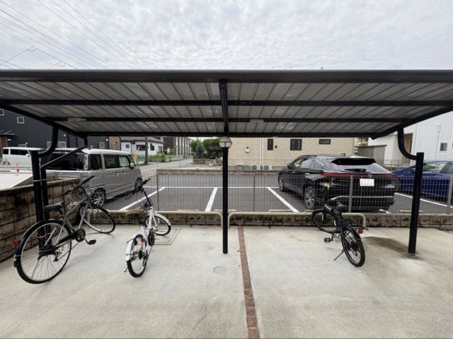 ミランダミルティユのその他