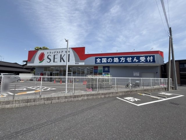 レオネクストヴィラージュ碧水Ⅱの周辺