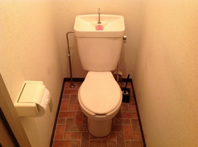 レオネクストエルヴィータのその他