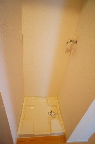 パレス　アツームのその他