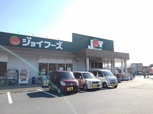 パレス　アツームの周辺|ジョイフーズ越谷大袋店まで800m
