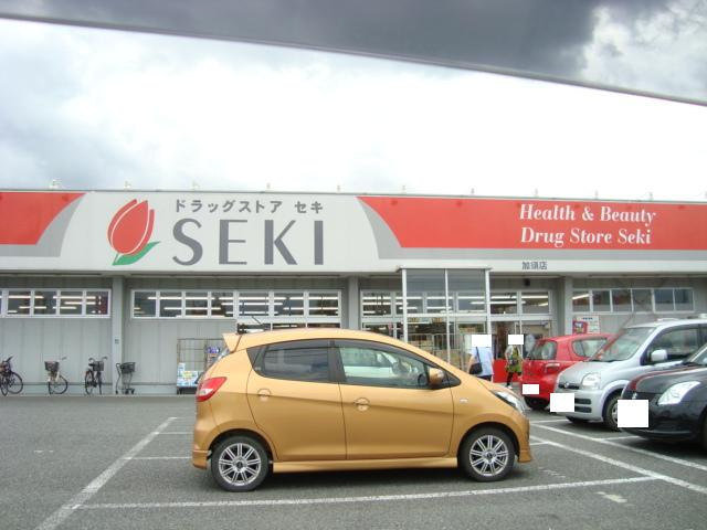 仮）加須市久下スターテラスⅡの周辺|ドラッグストアセキ加須店まで2,092ｍ