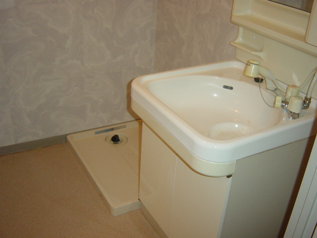 エコーハイツの洗面所|洗面