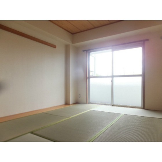 ドミールシャルマンのその他|和室