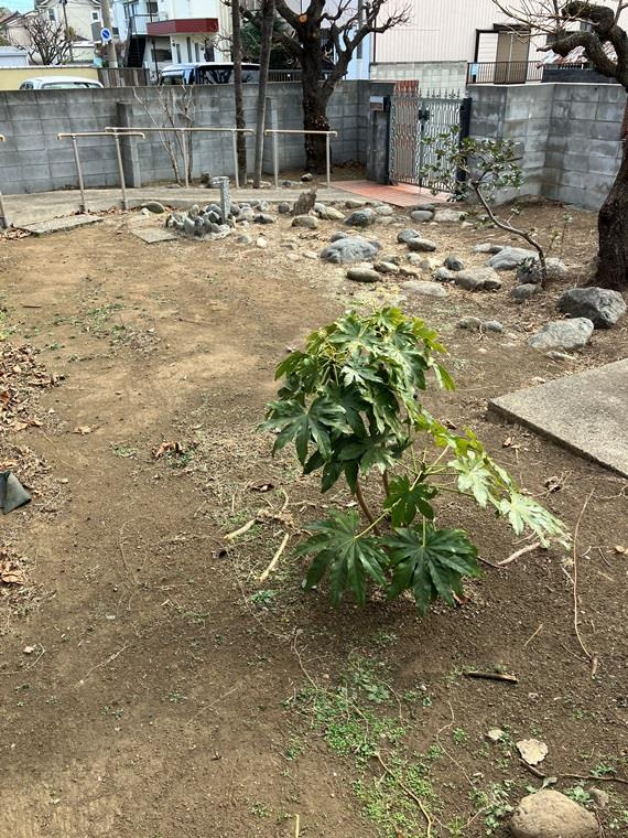 元町戸建の庭|簡単な家庭菜園も楽しめるお庭です