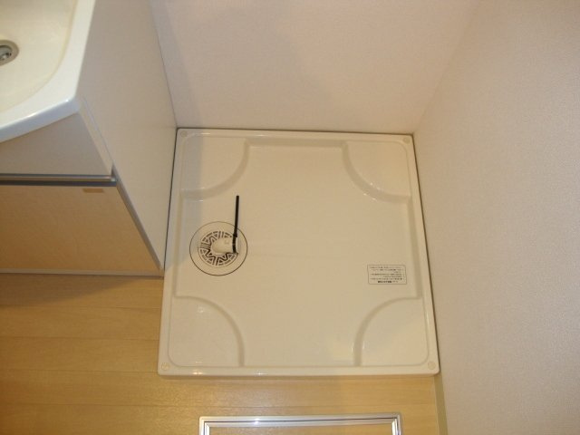 ロイヤル　パピヨンの収納|室内洗濯機設置場