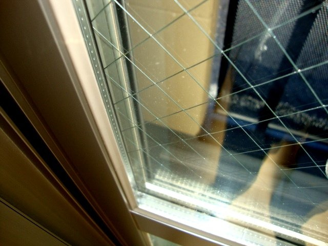 ロイヤル　パピヨンの居間・リビング|ペアガラス