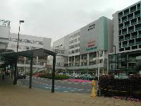 ロイヤル　パピヨンの周辺|南柏駅(JR　常磐線)まで2,838ｍ