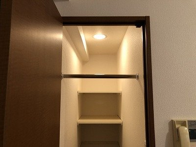パレステュディオ東京八重洲通りの収納|こまごまとしたものを収納できそうですね