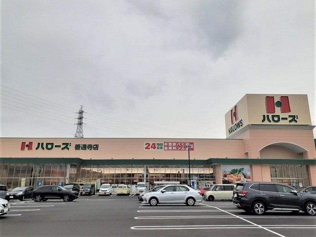 ウェルリッチ善通寺　Ⅰの周辺|ハローズ善通寺店まで650m