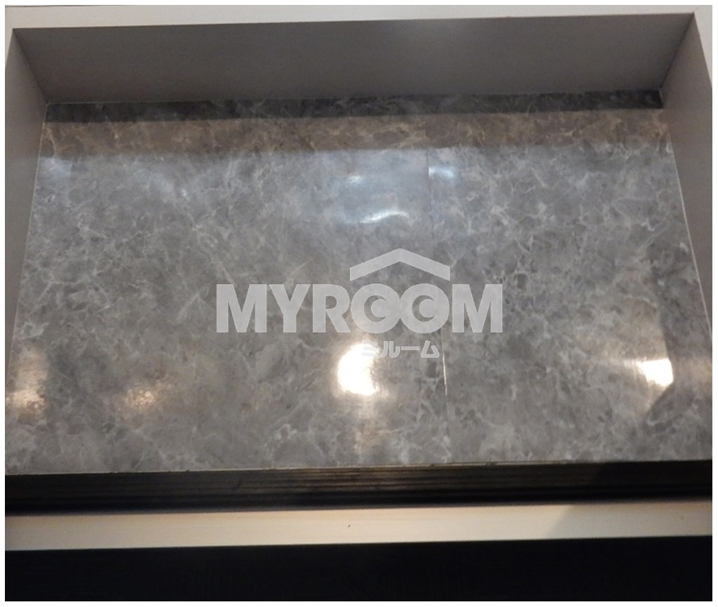 パークレジナス中野の玄関|玄関