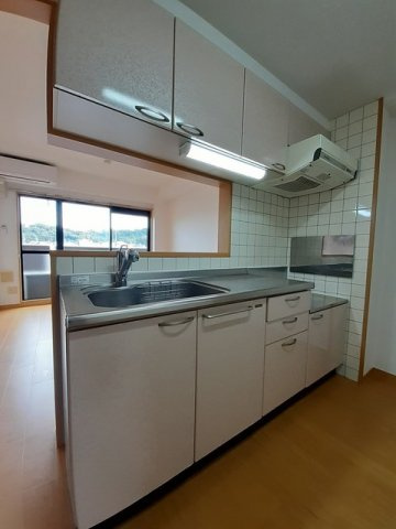 アネックスマンションのキッチン