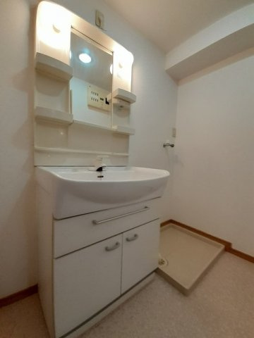 アネックスマンションの洗面所