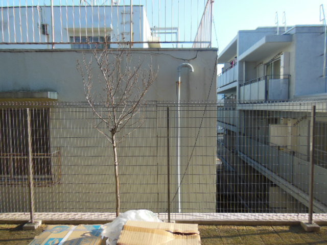 ＲＩＳＥ　１９７６の展望