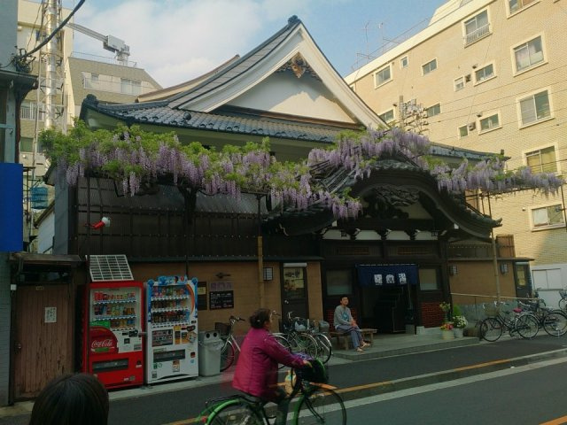 RAFFINE TERRACEの周辺