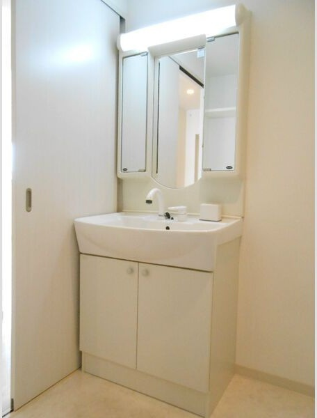 ラ・パス大井橋の洗面所