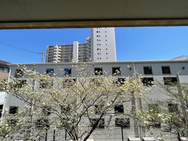 【展望】