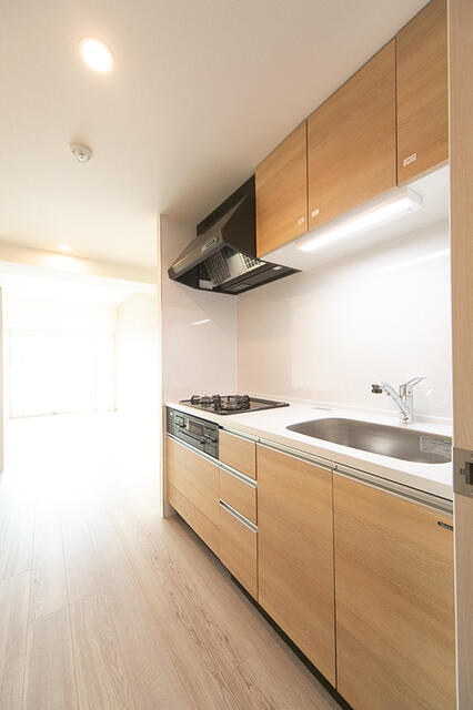 Daiwa Grace Maison亀有のキッチン