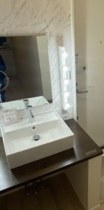 RadIAnce七里（レイディエンスナナサト）の洗面所|別部屋参考写真となります