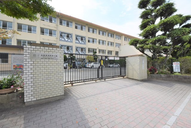 福岡市城南区鳥飼6丁目第1-2棟（1号棟）　の周辺|城西中学校