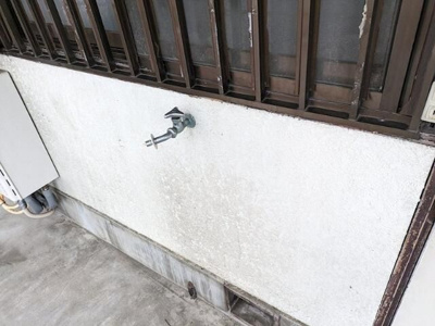 【その他】 | 紫苑荘