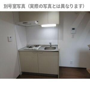 Dream Stage HT Iwakuraのキッチン