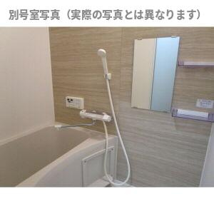 Dream Stage HT Iwakuraの浴室