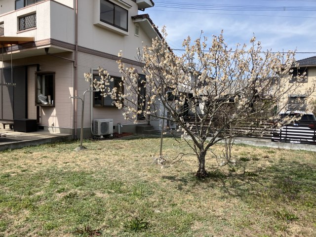 朝倉市小田　中古住宅の庭