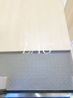 【玄関】 | メルディア東大宮Ⅲ | 玄関です。