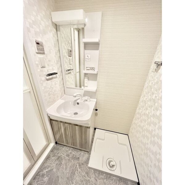 S-RESIDENCE金山Westの洗面所