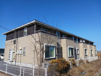 オリージャの画像