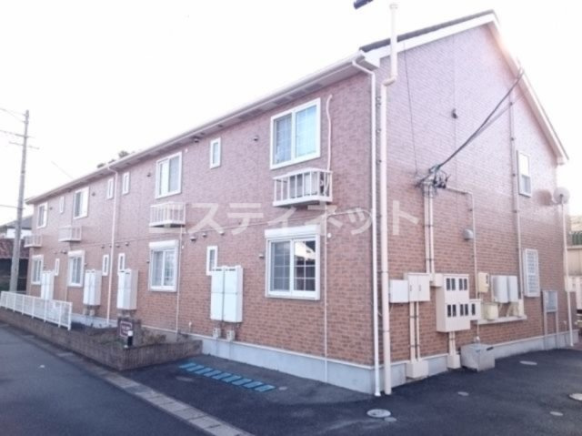 ファインコスモス