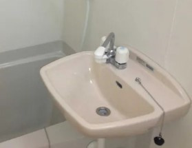 レオネクストＫｉｋｕｓｈｉの洗面所