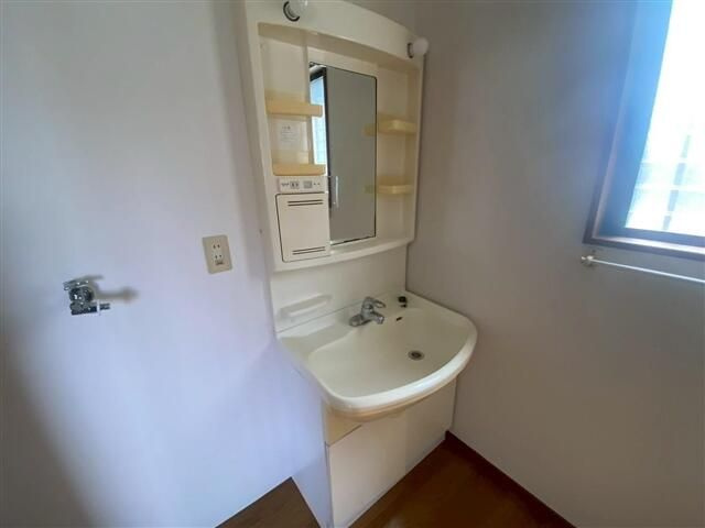 プレジャーハイム妙典の洗面所