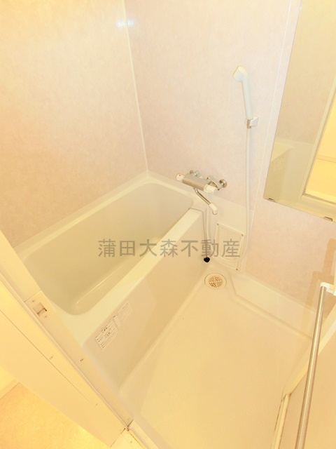 バレーヌ大森山王の浴室