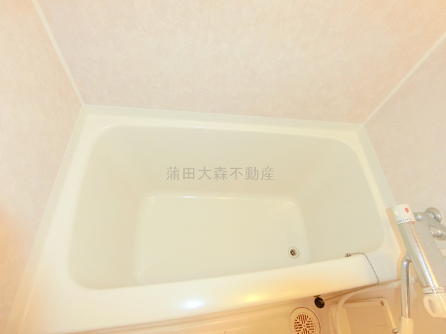 バレーヌ大森山王の浴室