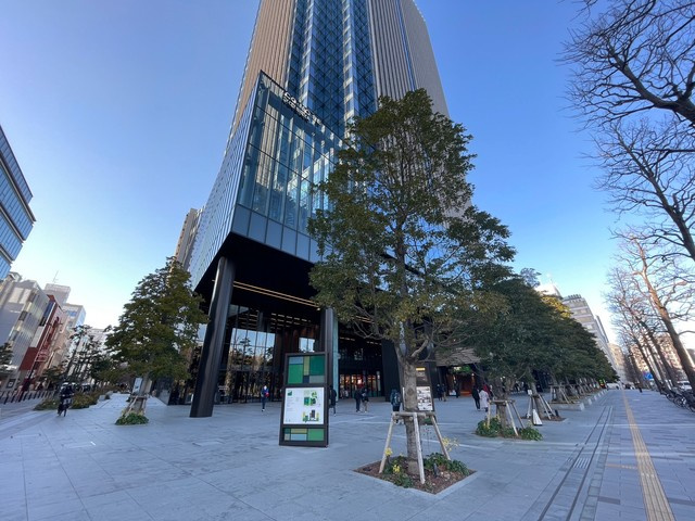 セナ・サンデリスのその他|コモレモール