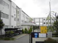 柳島小学校まで50ｍ