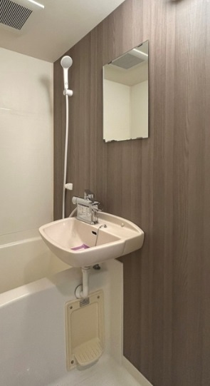 ザ・レジデンス行徳Ⅱの独立洗面台