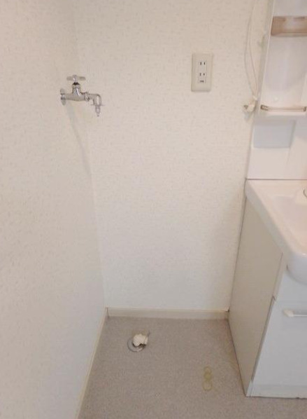 エスポワール壱番館の洗面所