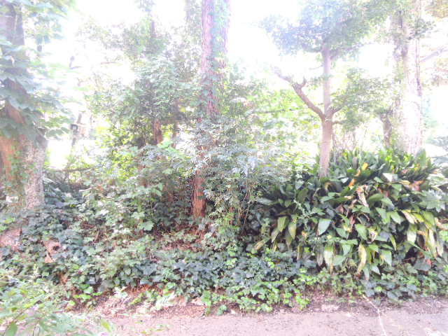 【展望】 | エクセラン成城