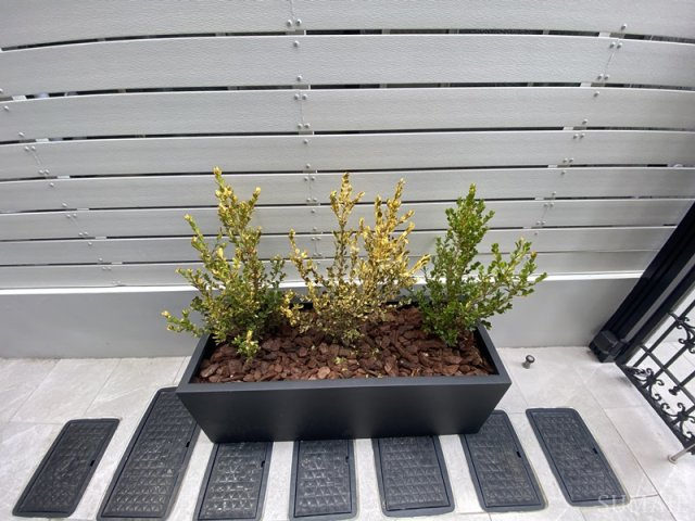 サンジェルマン西小岩のその他|植木があります