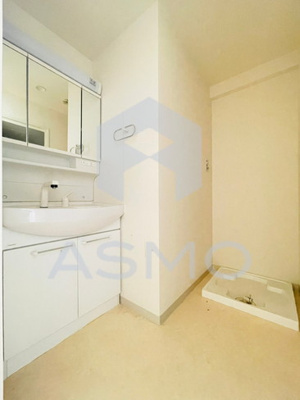 【洗面所】 | ヴィハーラ北天満