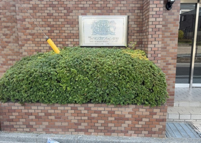 【庭】 | ライオンズマンション橋本 | 物件によっては、入居者が個人的に使用できる専用庭がついているものもあります。また、住宅の中にある土間の部分を庭と呼ぶこともあります。庭の用途は住む人によって変わり、それによってデザインもさまざまです。
