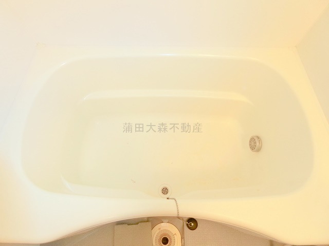 Dream Atlas 樹心の浴室
