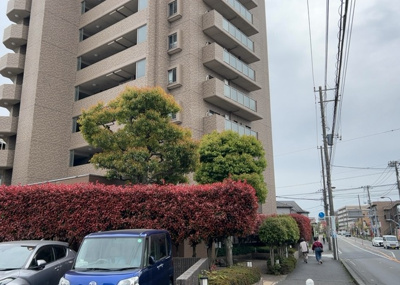 【構造・工法・仕様】 | エンゼルハイム古淵　 | ＲＣ造は、鉄筋とコンクリートを一体化させた構造材を柱や梁などに用いる構造です。耐震性や耐久性にすぐれています。