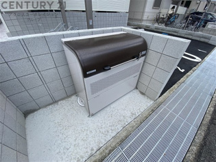 ヴェラ　ロホのその他