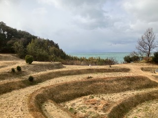  | 深草　中古別荘　土地２筆・建物２棟